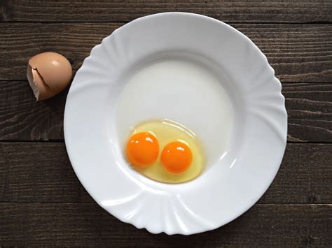 one egg with two yolks|Double Yolk Eggs Explained: Why They Happen and .